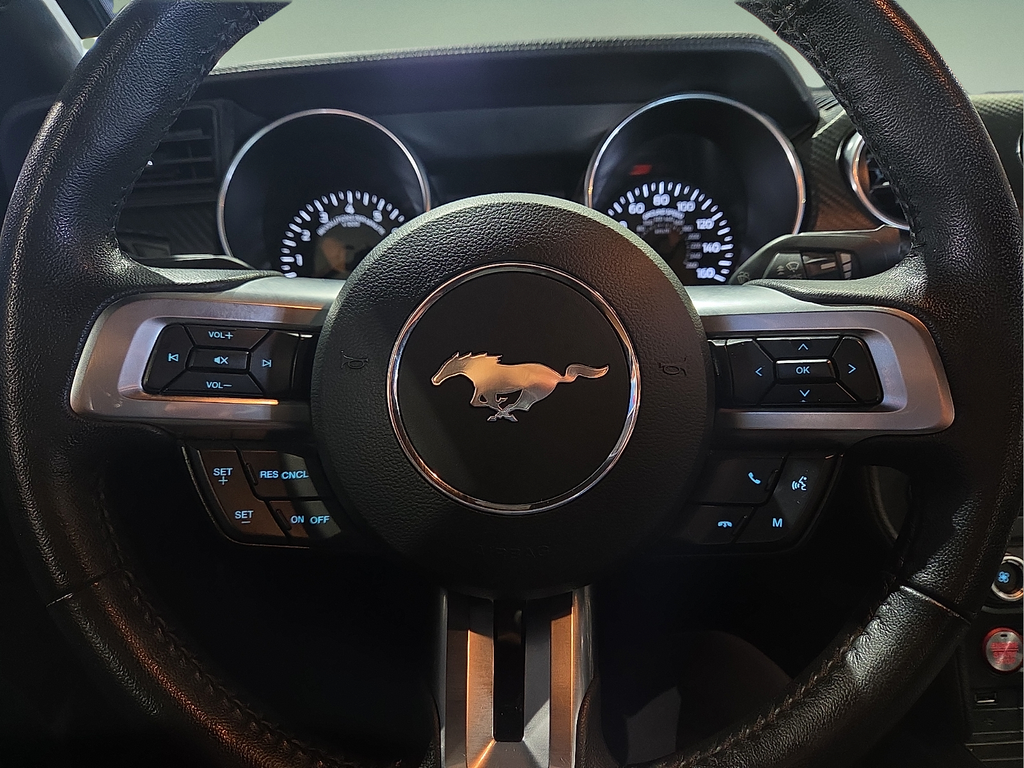 2022 Ford Mustang EcoBoost