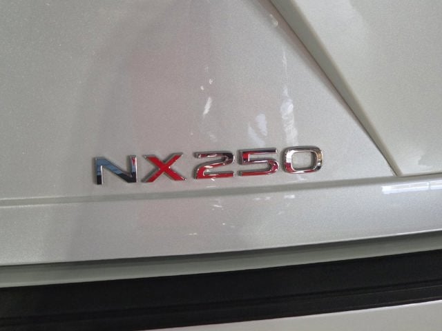 2024 Lexus NX 250 Base