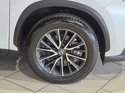 2024 Lexus NX 250 Base