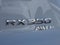 2026 Lexus RX 350 F SPORT DESIGN