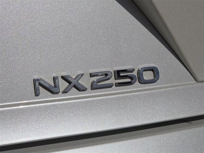 2025 Lexus NX 250 Premium