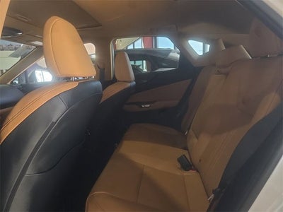 2025 Lexus NX 250 Premium