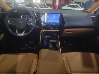 2025 Lexus NX 250 Premium