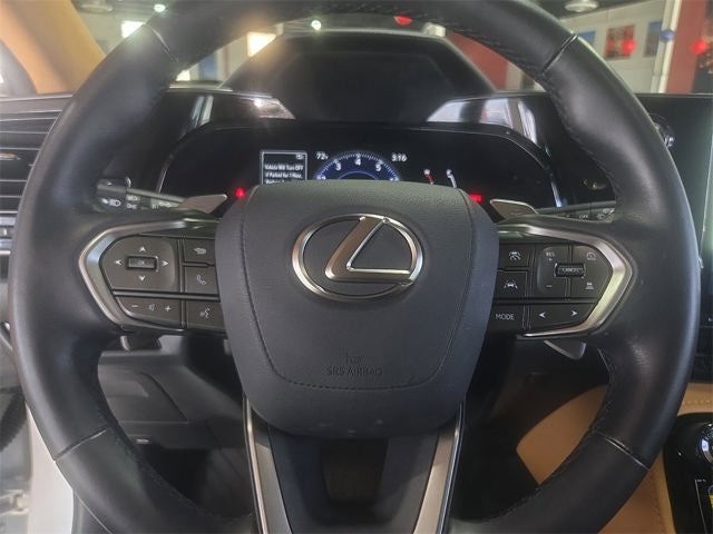 2025 Lexus NX 250 Premium