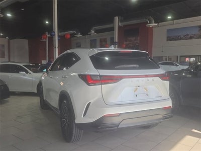 2025 Lexus NX 250 Premium