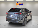 2025 Lexus NX 250 Premium