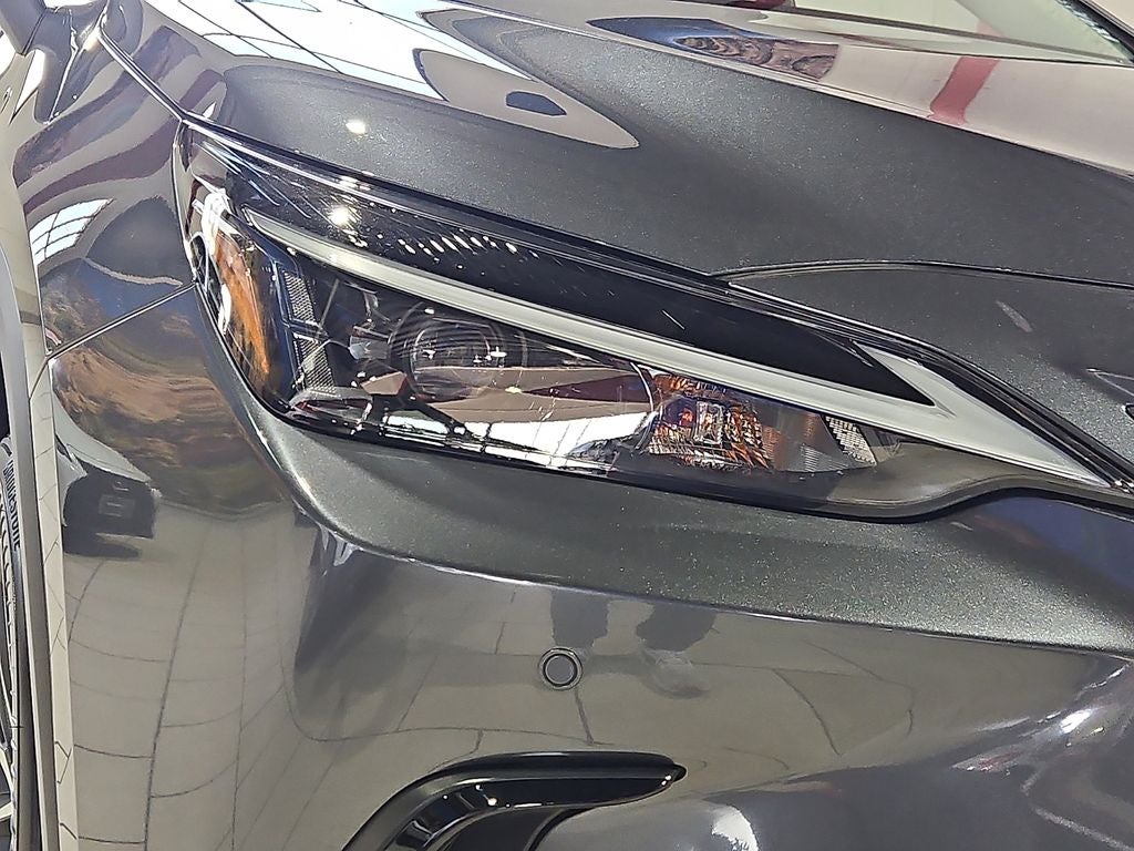 2025 Lexus NX 250 Premium