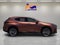 2026 Lexus NX 350 LUXURY AWD