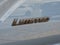 2026 Toyota 4Runner i-FORCE MAX Hybrid Limited