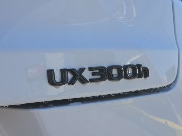 2026 Lexus UX 300h F SPORT DESIGN