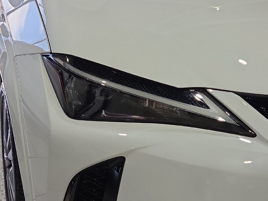 2025 Lexus UX 300h F SPORT Design