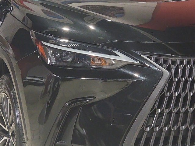 2024 Lexus NX 350h Premium