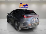 2025 Lexus NX 350h Premium