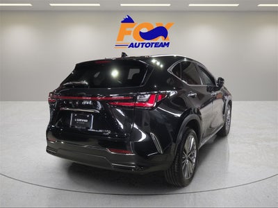2022 Lexus NX 350 Luxury